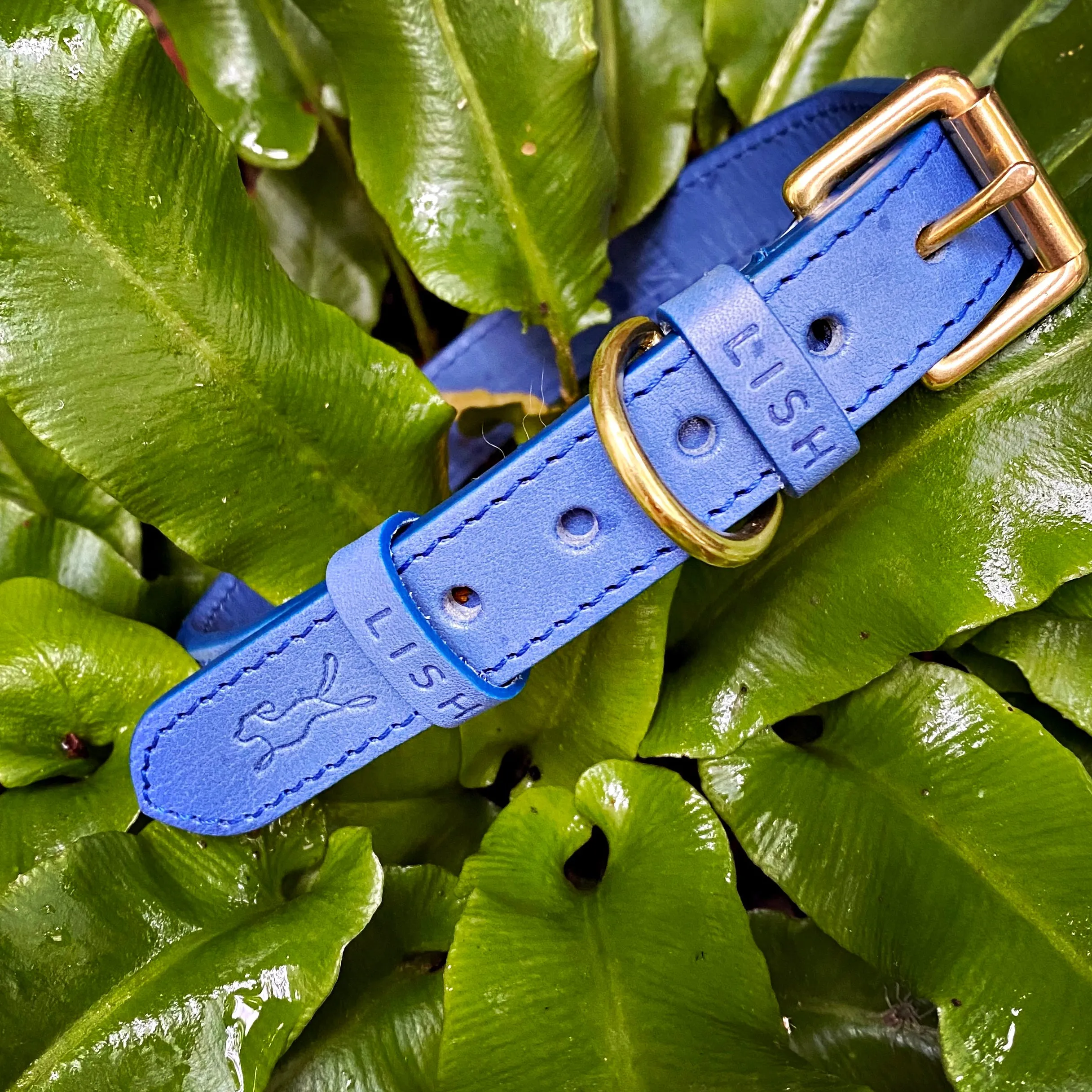 Coopers Cobalt Blue Luxury Leather Designer Dog Collar