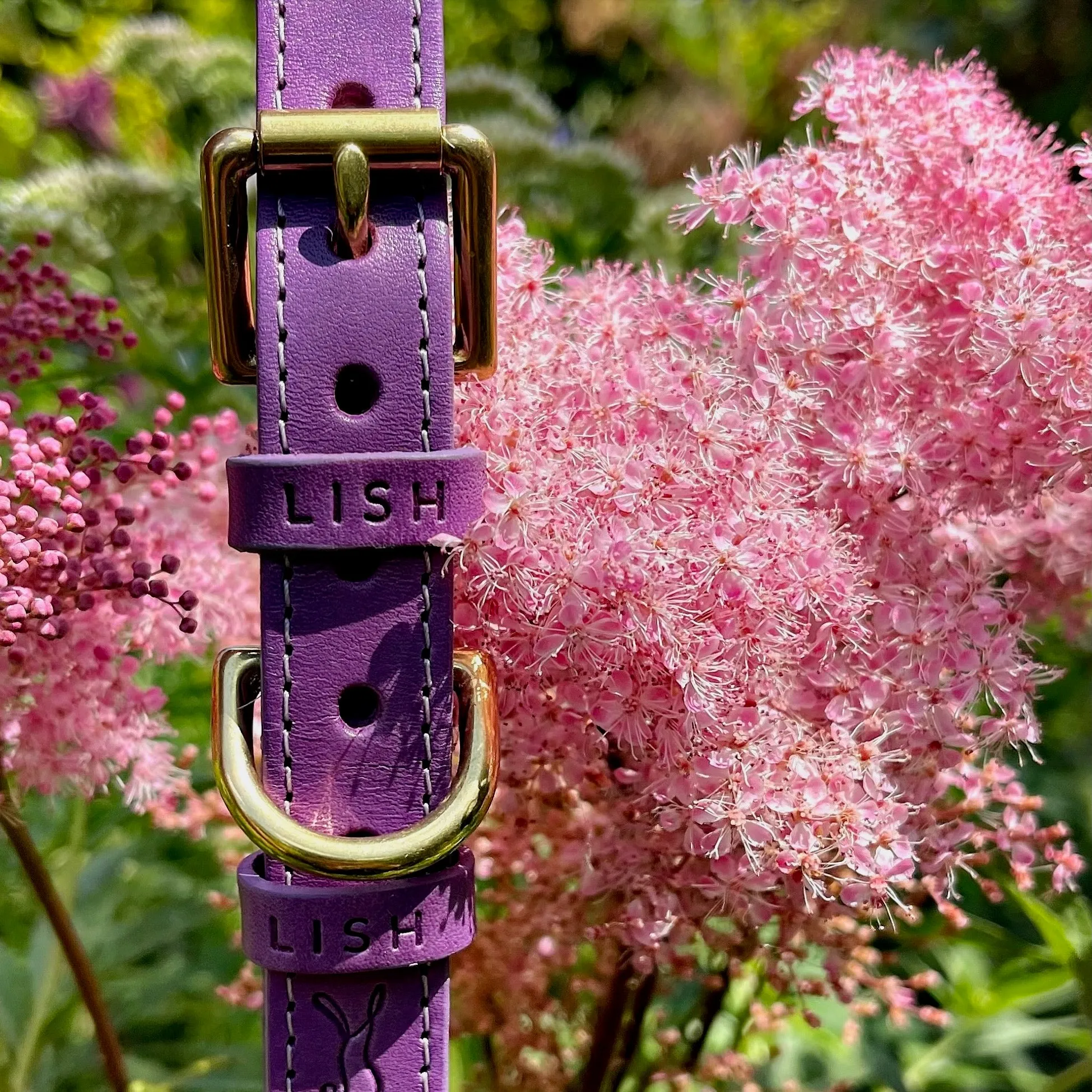 Coopers Violet Luxury Leather Designer Dog Collar