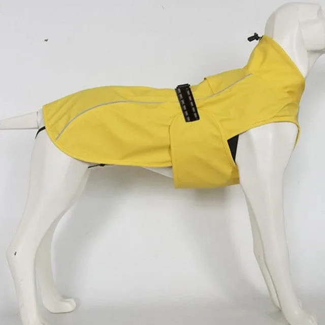 Waterproof Outdoor Pet Raincoat Protection - Ailime Designs